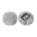 CHIFFONS DE NETTOYAGE INCLUS